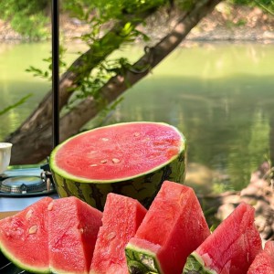 CẦN CÔ GIÚP VIỆC NHÀ - LƯƠNG 10TR