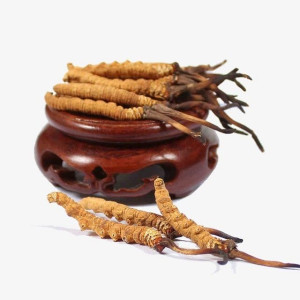 Bà nội em 90 tuổi cần chị đến chăm sóc ở Phú Nhuận