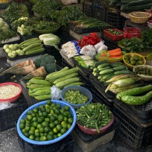 KHÔNG EM BÉ- KHÔNG NGƯỜI GIÀ- EM CẦN TUYỂN CHỊ VỀ GIÚP VIỆC- NẤU ĂN LƯƠNG 11TR TẠI ĐƯỜNG LÝ NAM ĐẾ- QUẬN 11