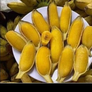 CẦN GẤP CHỊ CHĂM BÀ EM Ở GẦN CÔNG VIÊN HOÀNG VĂN THỤ, TÂN BÌNH