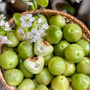 Cần cô giúp việc nhà làm ở lại có thể đi làm ngay về dọn dẹp nhà cửa, nấu cơm nước cho 2 vợ chồng và 1 bé đi học ở Quận 3.