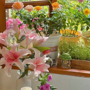 Bà 80 tuổi đi lại bình thường, còn minh mẫn, nhà có 1 người con trai và bà thường xuyên đi làm- cần chị về lo cho bà- Nguyễn Bỉnh Khiêm- Quận 1