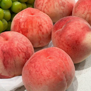 cần chị Giúp việc nhà quận Tân Bình - Lương 12 triệu ( bao ăn ở )