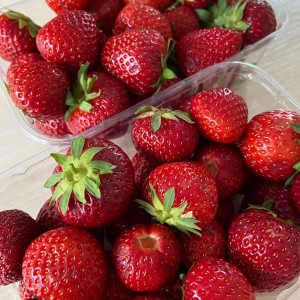 Nhà em cần chị giúp việc nhà , khu Phú Mỹ Hưng,ở quận 7 lương 12 triệu ( bao ăn ở )