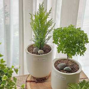 Lý Thường Kiệt , quận 5 cần chị giúp việc nhà LƯƠNG 13 TRIỆU