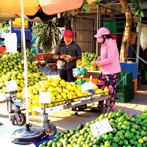 Cần chị trẻ thích buôn bán. Cửa hàng trái cây ở quận 5 tuyển nhân viên