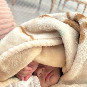 Nhà ở Nguyễn Ngọc Lộc quận 11 ,cần chị bảo mẫu , bé 4 tháng, Lương 10 triệu.