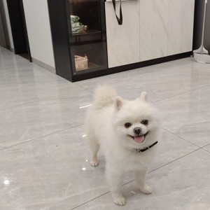 Nhà ở quận 11 cần chị giúp việc nhà , Lương 10 triệu ( bao ăn ở )