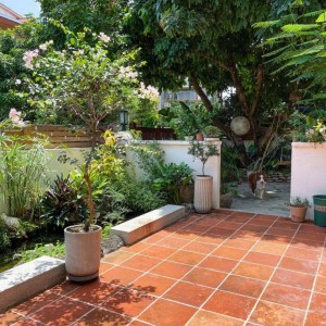 Nhà Vườn Không Có Lầu Ở Bến Tre Cần 2 Vợ Chồng Về Trông Coi .