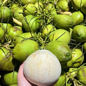 Em cần cô phụ nấu bếp cho quán tàu hủ Singapo ở Nguyễn Văn Khối Gò Vấp