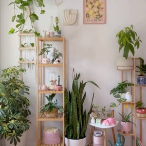 Nhà có 2 vợ chồng và bé trai 4 tuổi đã đi học mẫu giáo ở Đình Phong Phú- Quận 9,