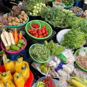 TUYỂN CÔ GIÚP VIỆC Ở LẠI LƯƠNG 11 TRIỆU TẠI ĐƯỜNG PHẠM THẾ HIỂN- QUẬN 8