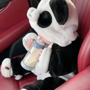 CẦN CÔ CHĂM BÉ ( KHÔNG CẦN KINH NGHIỆM ) - LƯƠNG 10TR