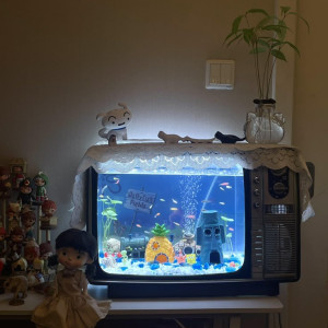 Nhà con cần 1 cô chăm bà 88 tuổi lương thử việc 13 triệu ở Tân Phú