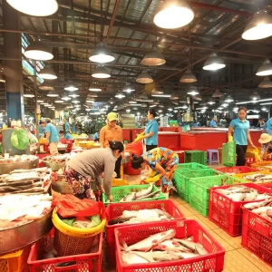 NHÀ E Ở CHỢ BÌNH ĐIỀN CẦN TUYỂN CHỊ GIÚP VIỆC LƯƠNG 10 TRIỆU