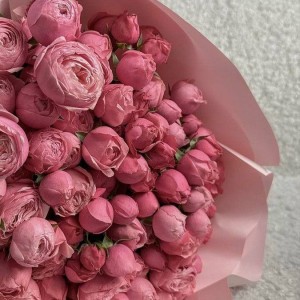 Nhà ở Phú Nhuận,Lương 10tr bao ăn ở.