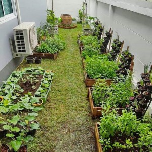 Tuyển giúp việc nhà ở lại gần Cầu vượt Củ Chi