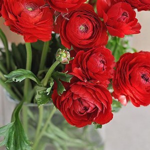 Nhà bố đơn thân, có ba đứa con đã lớn bé nhỏ nhất 9 tuổi , chung cư Bình Thạnh