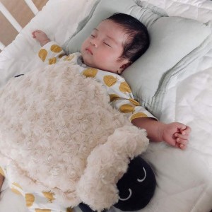 Vợ chồng em cần cô chăm bé sơ sinh ở lại tại đường Gia Phú, quận 11.