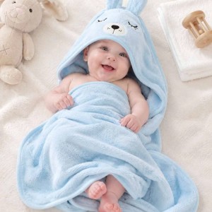 Em cần tìm cô Chăm bé 8 tháng ở chung cư Đường Hồng Hà , Tân Bình