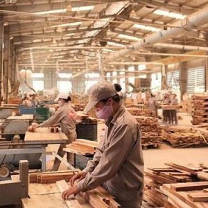 Tuyển công nhân xưởng gỗ  - lương 8tr