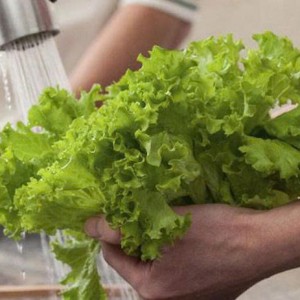 Quán ăn gia đình quận 1, cần cô tạp vụ rửa chén lặt rau - 8tr