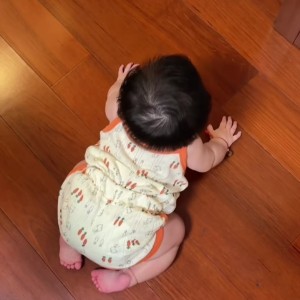 Cần 1 Cô Chuyên Chăm Bé 16 Tháng , Làm Những Công Việc Xoay Quanh Bé ., Quận 6