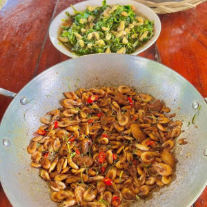 EM CẦN GẤP 1 CÔ GIÚP VIỆC TRÊN ĐƯỜNG TĂNG BẠT HỔ QUẬN 5 LƯƠNG 10TR BAO ĂN Ở