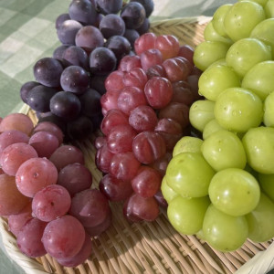 Nhà ở quận 8 cần chị làm giúp việc nhà