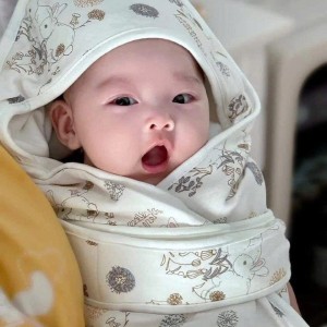 chăm bé sơ sinh (bé 2 tháng tuổi) - lương 12trieu - ở Thảo Điền q2