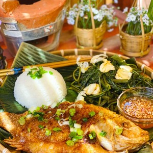 Tìm cô chăm bà yếu – bao ăn ở lại, lương 12 triệu bao ăn ở