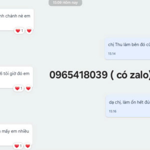 Cô/chị đi làm liên hệ 0965418039 (có zalo) gặp Thu nhận việc nha.  CÔNG TY giúp việc Hùng Cường.