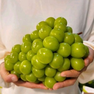 Tuyển Chị Giúp Việc Nhà Quận 7, gần Phú Mỹ Hưng - Lương 13 triệu ( bao ăn ở )