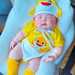 Cần Tìm Cô Chăm Bé 5 Tháng Tuổi Ở Quận 2.