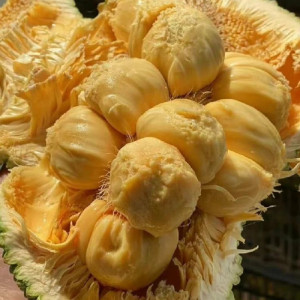 GIA ĐÌNH EM Ở QUẬN 3- CẦN TÌM CHỊ GIÚP VIỆC NHÀ LÀM ĂN Ở LẠI