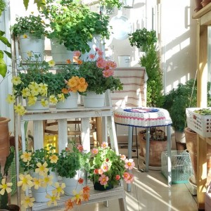 🌸 TUYỂN CÔ GIÚP VIỆC NHÀ LÀM Ở LẠI – QUẬN 7 🌸