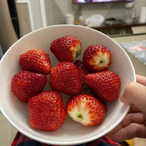 Tìm người phụ giúp việc nhà khu vực Thủ Đức, gần ngã tư bình triệu - Lương 13 triệu ( bao ăn ở )