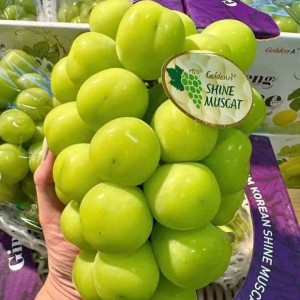 Bà 70 tuổi ở Bình Chánh mới mổ chân, cần người ở lại chăm