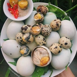 Cần cô Giúp Việc Nhà Quận 9 - Không Yêu Cầu Kinh Nghiệm!