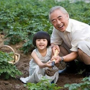 Lương 11tr, cần cô chăm ông ở Ngô Đức Kế quận 1 ( ông bị tiểu đường )