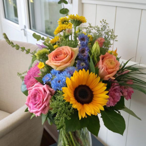 Cần chị Chăm bà quận 8 - Lương 15 triệu ( bao ăn ở )