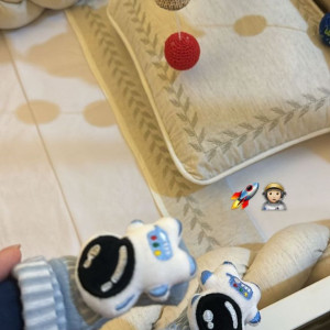 Tuyển cô chăm bé sơ sinh quận 2, q10