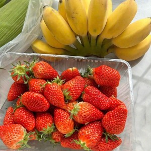 Nhà 1 Trệt 2 Lầu, Cần Cô Giúp Việc Nhà Ở Quận 10 - Lương 10tr