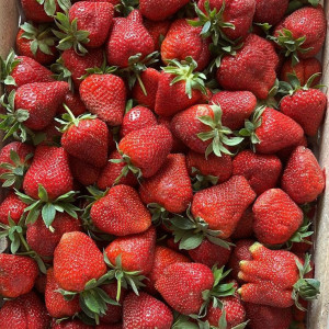 GIA ĐÌNH EM Ở ĐƯỜNG NGUYỄN VĂN TRỖI, QUẬN 3- CẦN CHỊ GIÚP VIỆC NHÀ