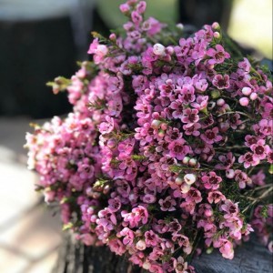 Nhà chị Hà cần chị giúp việc nhà , Lương 11 triệu ( bao ăn ở )