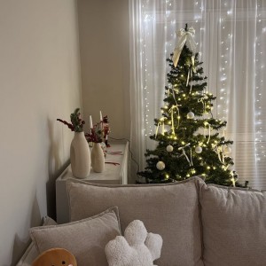 Nhà 1 trệt 1 lầu ở đường Nguyễn Văn Đậu, Quận Bình Thạnh cần cô giúp việc ở lại