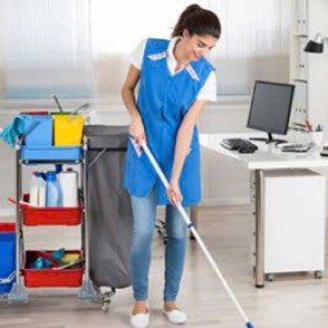 Cần Tuyển Cô Tạp Vụ Cho Công Ty Logistics Quận Tân Bình - Lương 11 Triệu