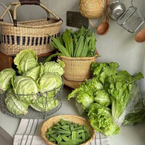 Không Có Thời Gian Lo Việc Nhà Nên Cần Cô Về Phụ Giúp.