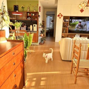 Cần cô giúp việc nhà ăn ở lại được - quận 3 - lương 10tr