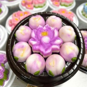 Em đang cần cô giúp việc nhà đi về KDC Bách Khoa, P. Phú Hữu, Quận Thủ Đức